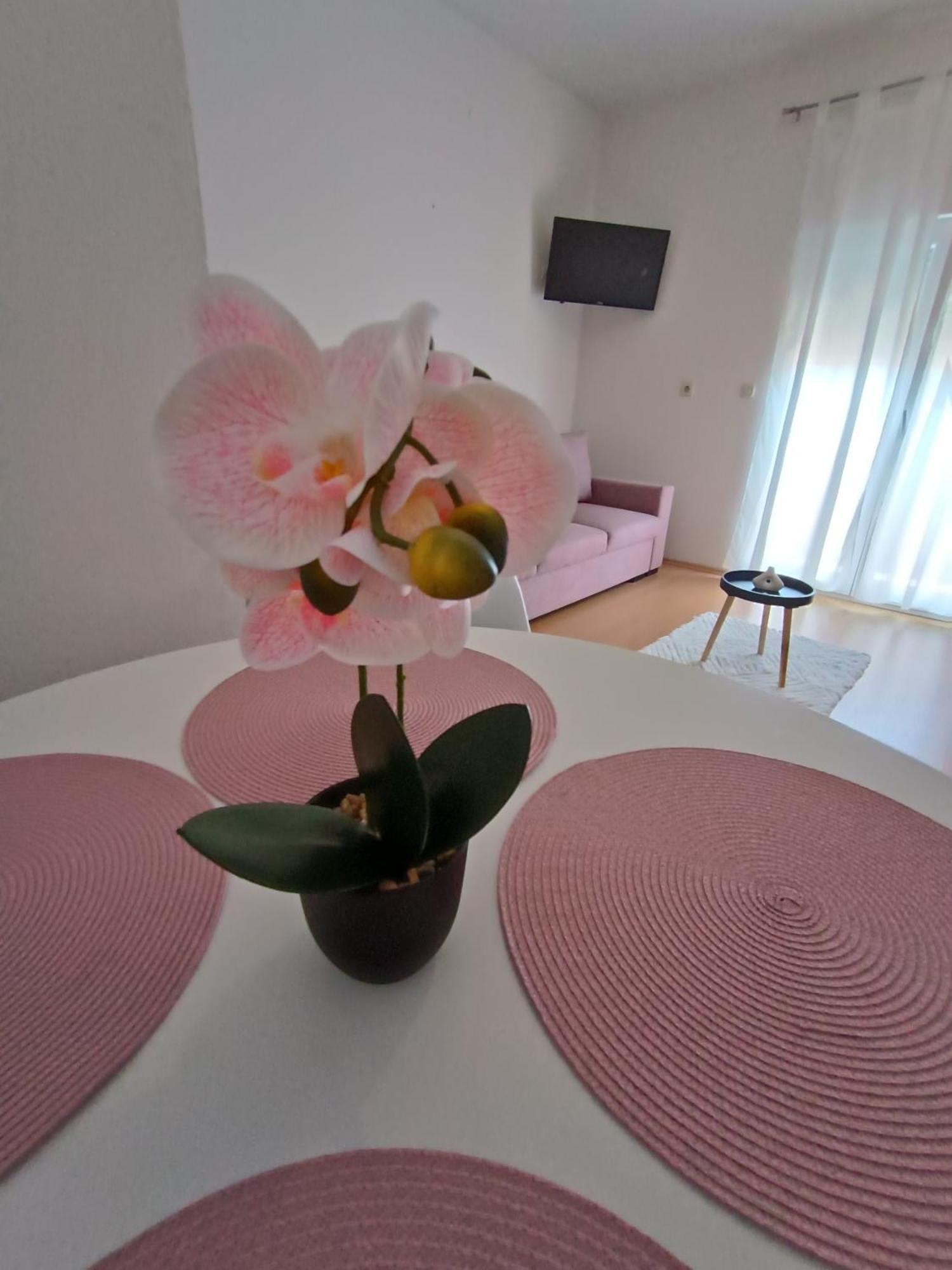 Apartman Lea Сукошан Экстерьер фото